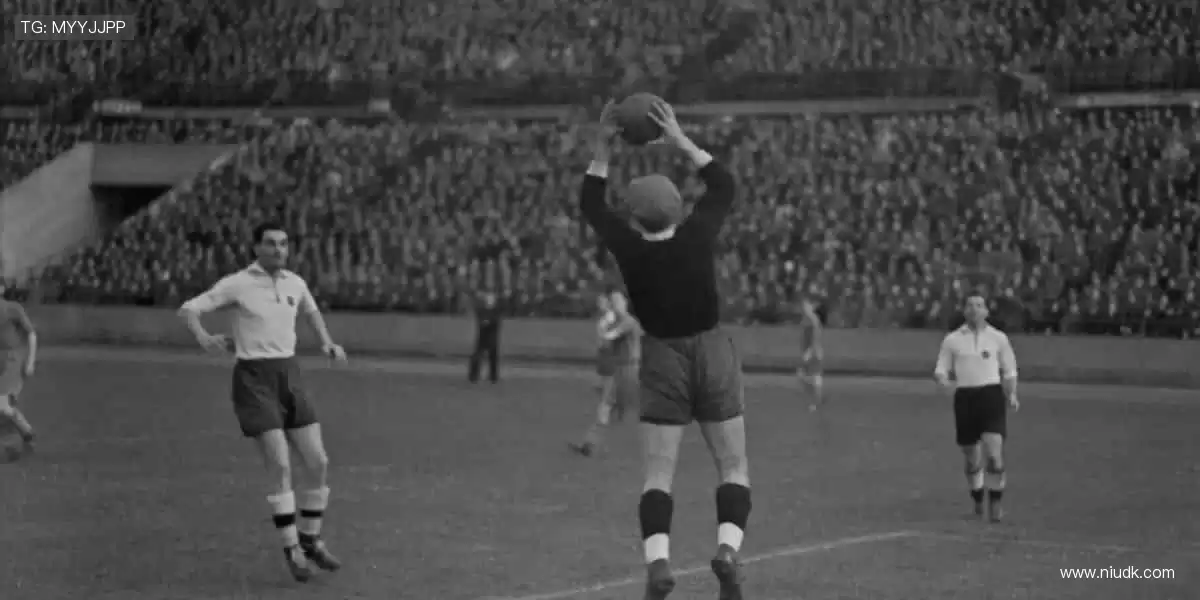 📺一键直击，全球赛事高清畅享！